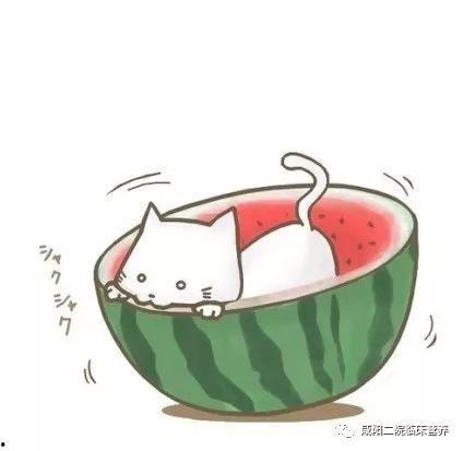 吃瓜群众图片卡通,趣味解读社会热点